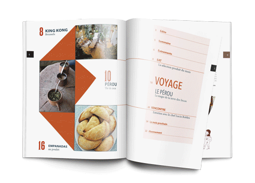 viseat magazine epublishing tabe des matieres